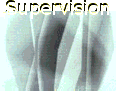 Supervision Supervision Supervisor